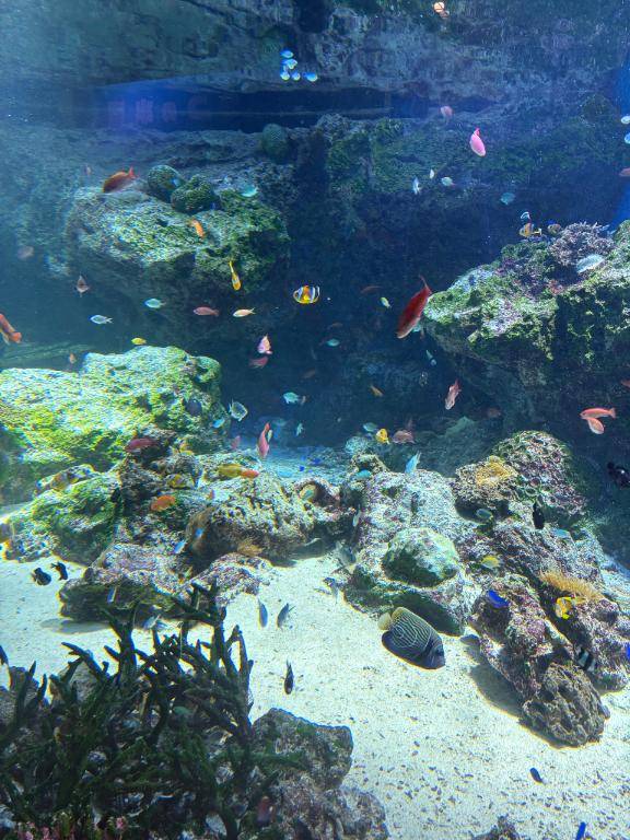 りのさん　写メ画像