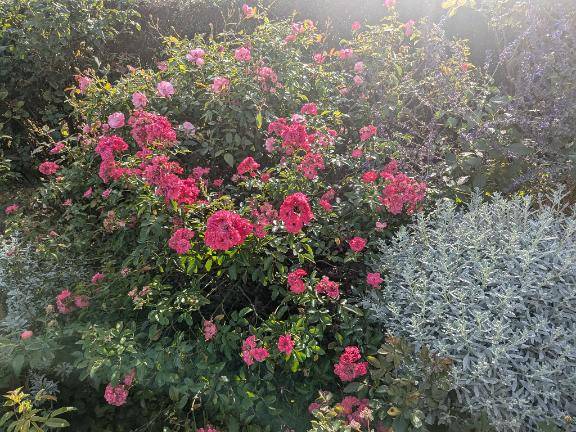 あんなさん　写メ画像