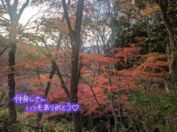 あんなさん　写メ画像